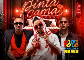 Dj Palhas Jr x Fabio Dance x Rods Wires - Pode Pinta Cama