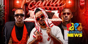 Dj Palhas Jr x Fabio Dance x Rods Wires - Pode Pinta Cama